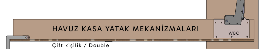 Çift kişilik H
